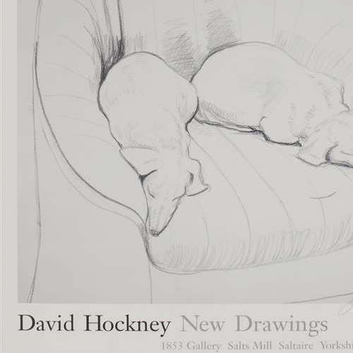 David Hockney for Dog Trust